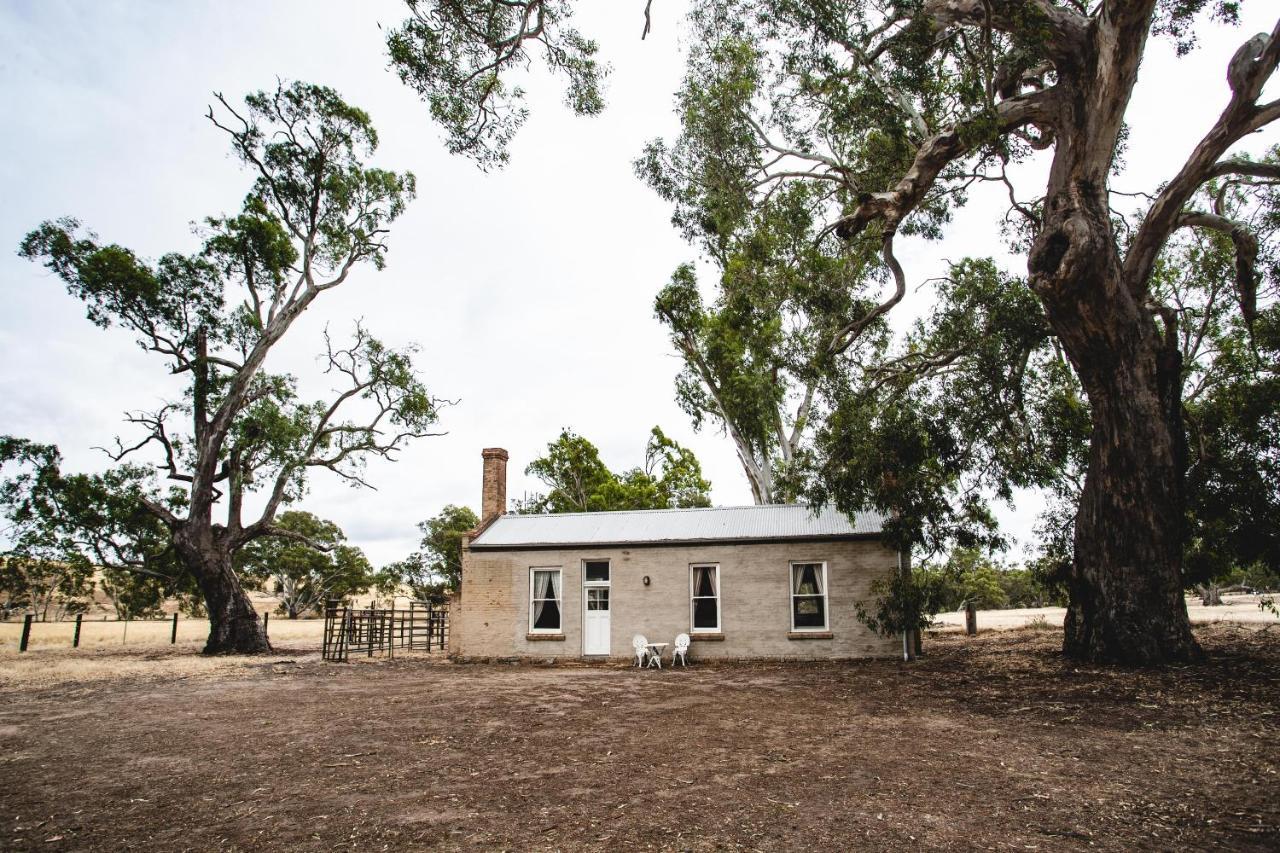 Ravenswood Homestead Exterior photo